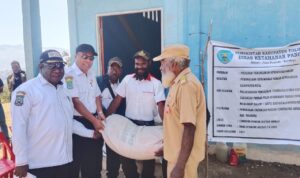 WhatsApp Image 2025-08-06 at 10.10.59